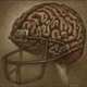 Illustration for article titled Friday Night Blight: Why High School Football Is Ground Zero Of The Concussion Crisis